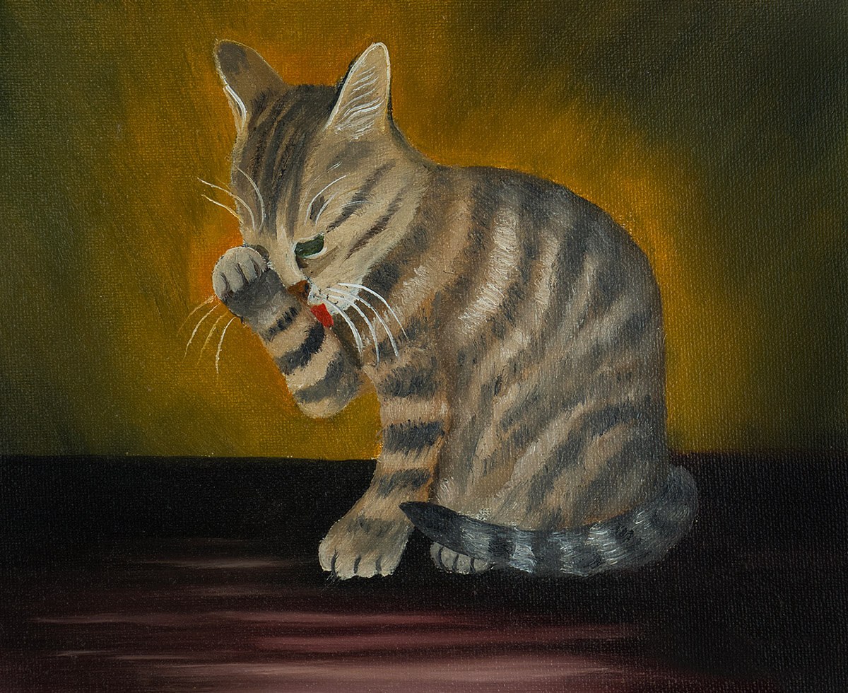 Oil painting cat licks its paw Oil painting cat licks its paw