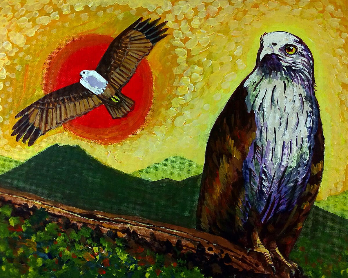 Original oil painting on canvas bird mighty eagle