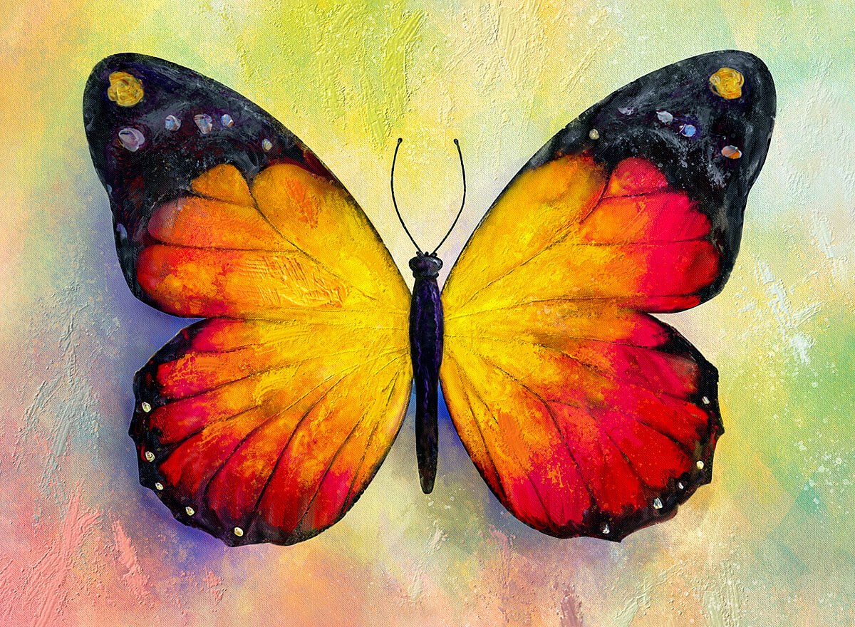 Oil painting yellow butterfly with a red tint
