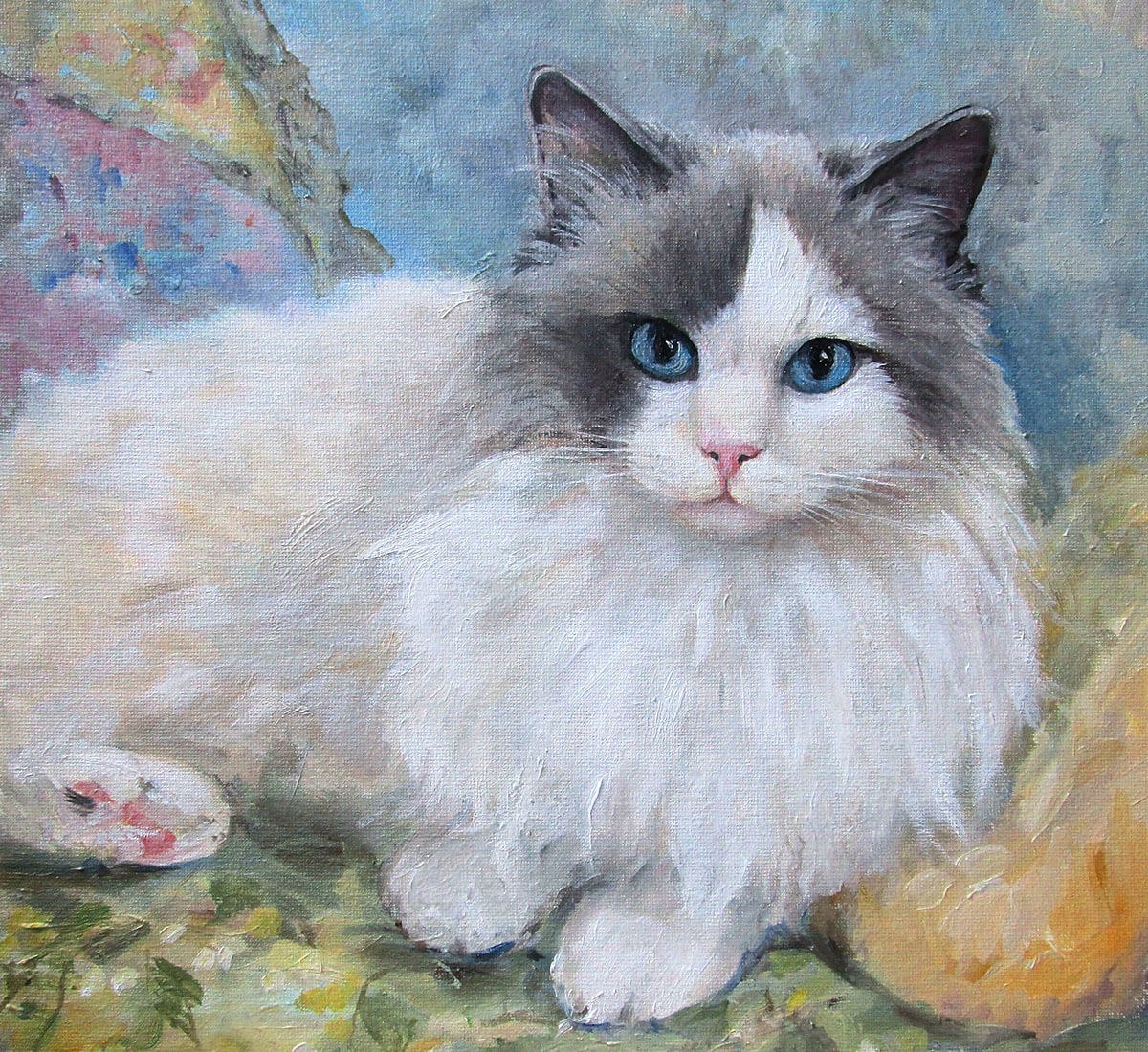 Beautiful cat with blue eyes looks attentively Beautiful cat with blue eyes looks attentively