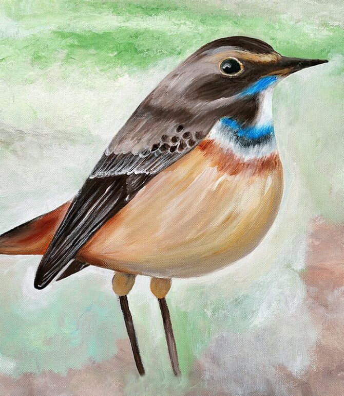 Interesting Paintings of Pretty Birds