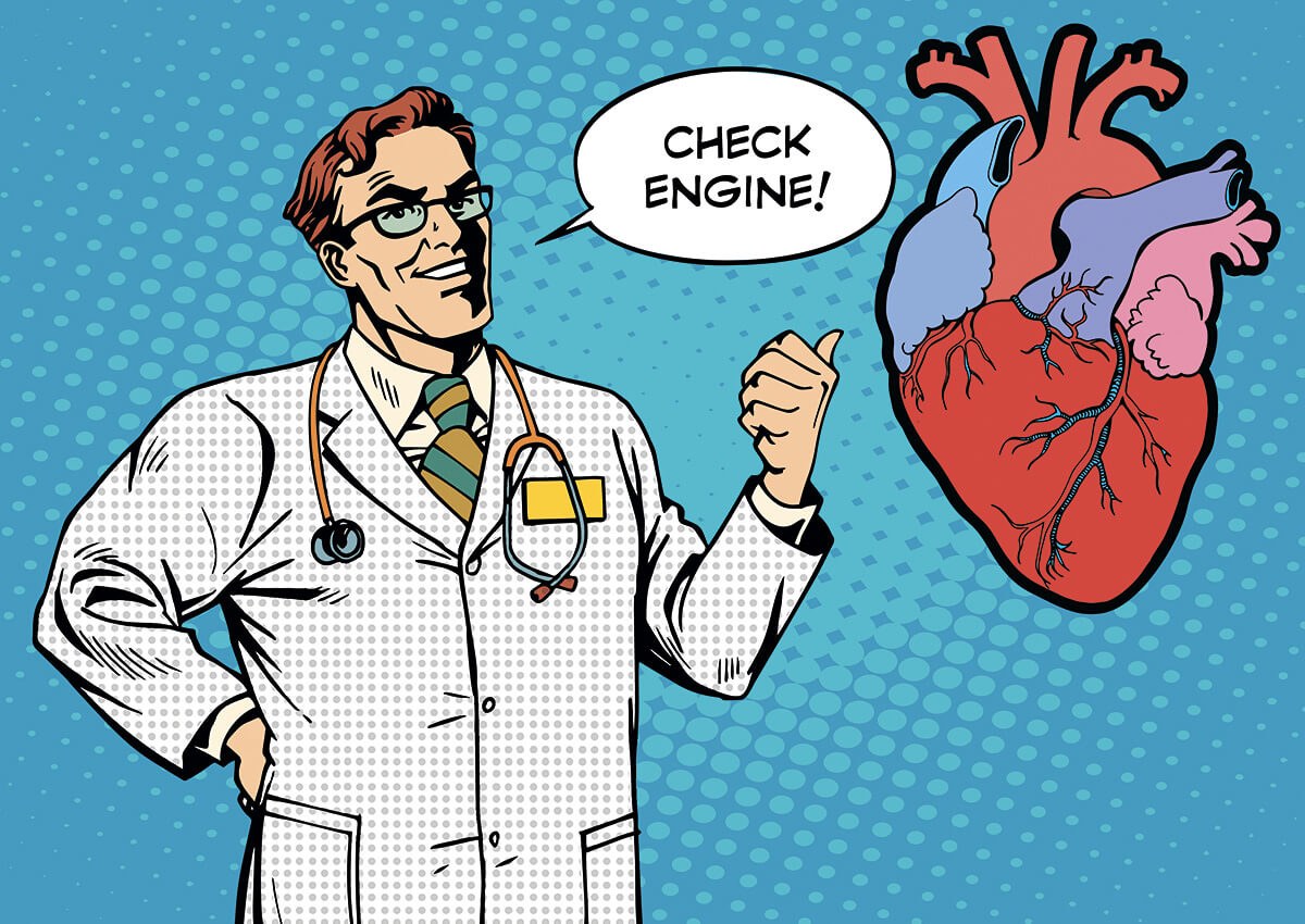 The doctor looks at a large human heart