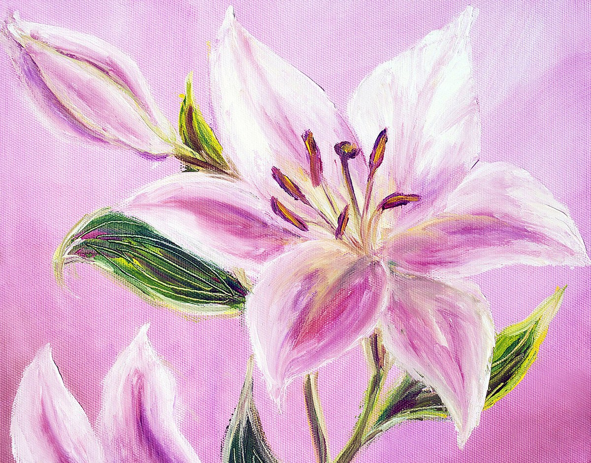 Lovely pink lily, original oil painting on canvas