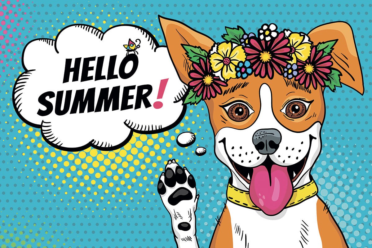 Picture of a joyful dog informing about the coming of summer
