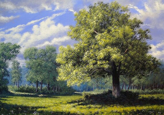 Paintings with Magnificent Forest Landscapes