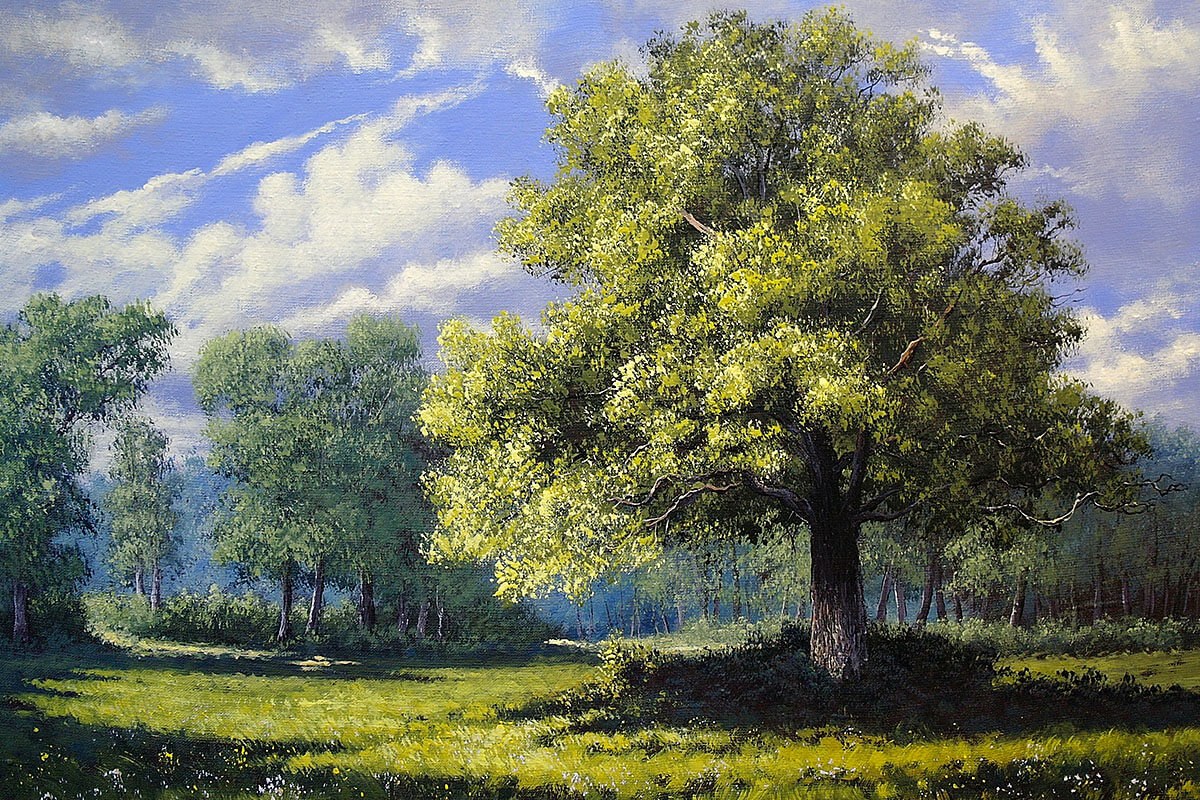 Oil painting on canvas beautiful forest landscape