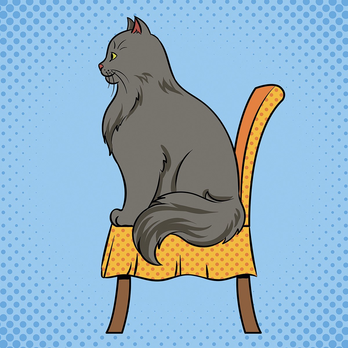Beautiful cat sitting on a chair