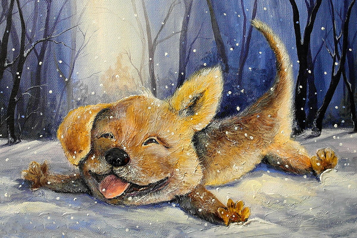 Oil painting funny dog lies in the snow Oil painting funny dog lies in the snow