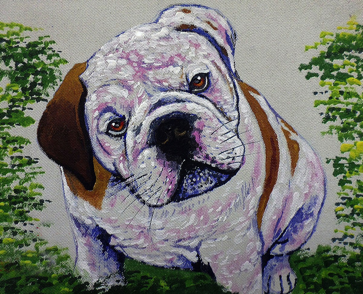 Oil painting with cute Bulldog Oil painting with cute Bulldog