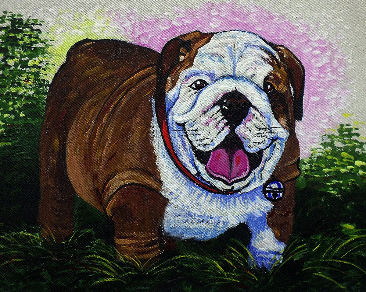 Big Bulldog stands in the grass, oil painting Big Bulldog stands in the grass, oil painting