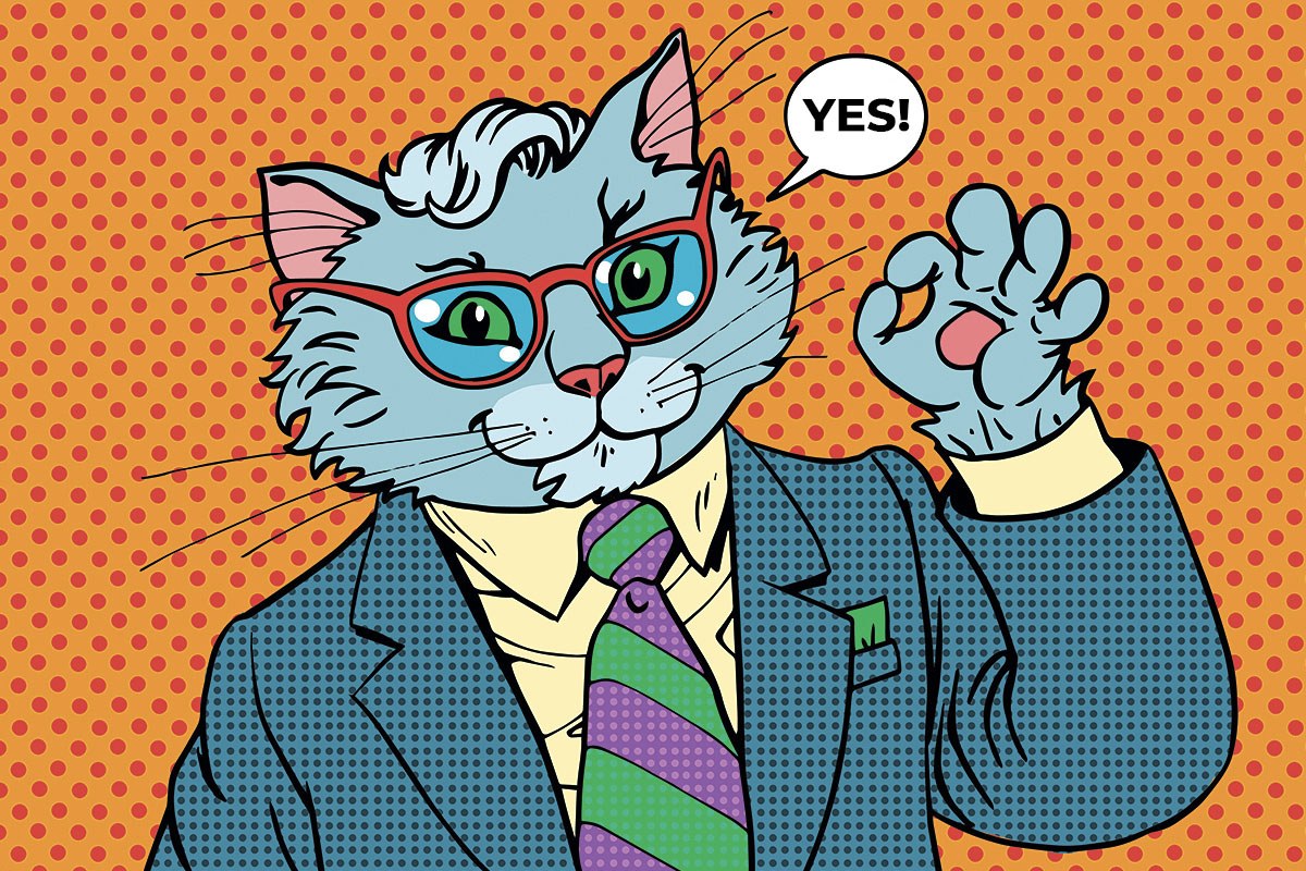 Picture with a cat showing a gesture all is well