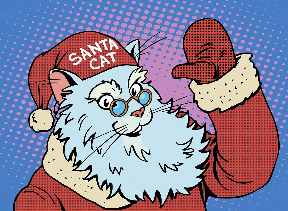 Comic cat dressed as Santa Claus