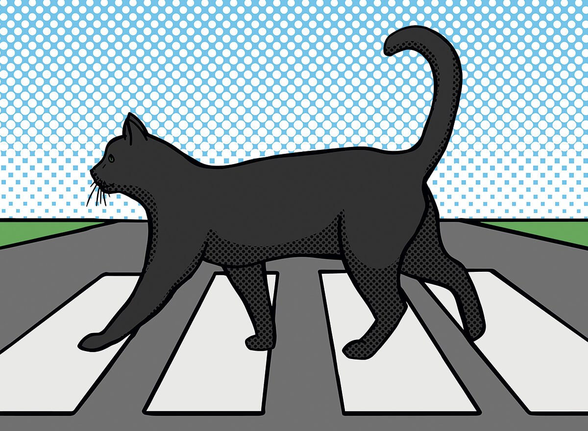Picture of a cat crossing a pedestrian crossing