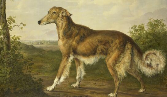 Famous Paintings with Dogs