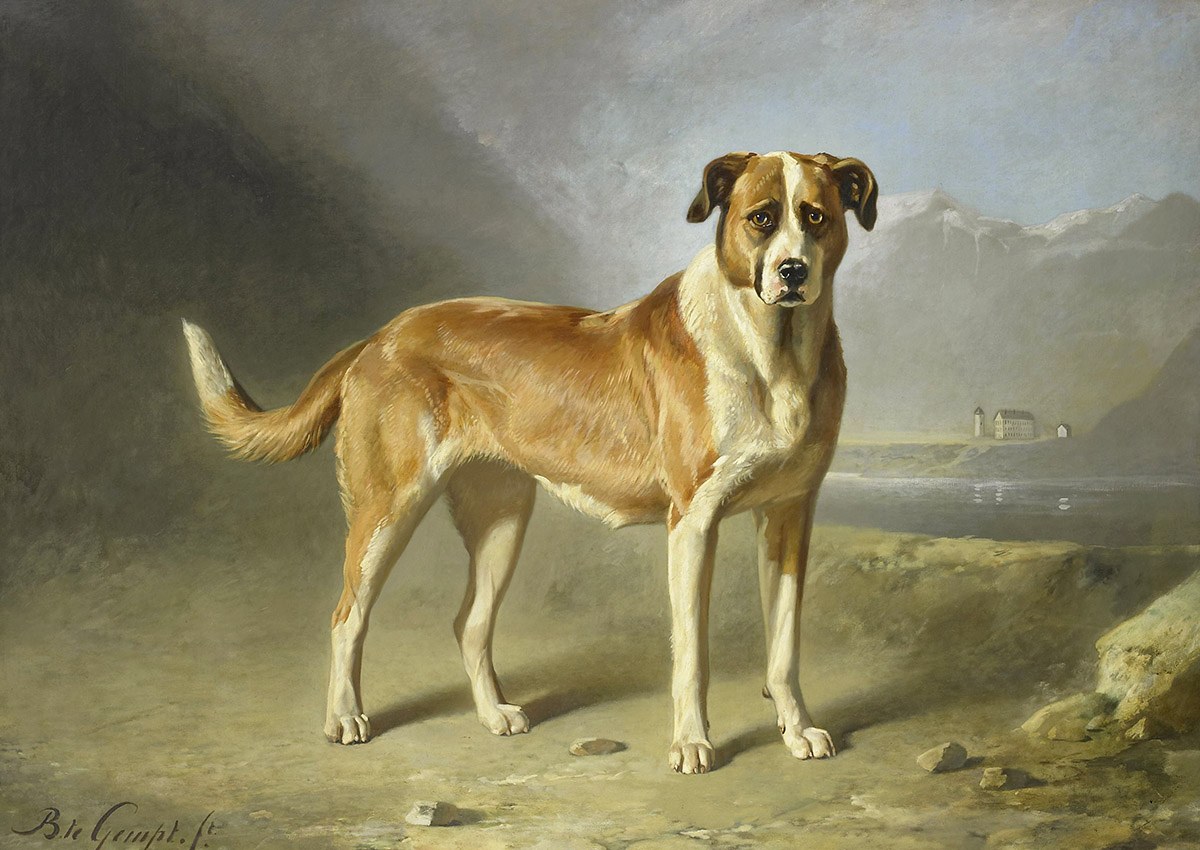 A Saint Bernard Dog, Artist: Bernard te Gempt, 1860-1879, Amsterdam, Netherlands, Original painting A Saint Bernard Dog, Artist: Bernard te Gempt, 1860-1879, Amsterdam, Netherlands, Original painting