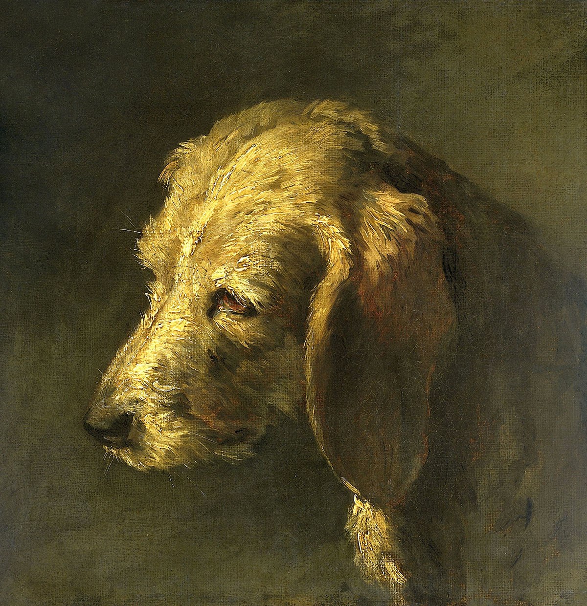 Head of a Dog, Artist: Nicolas Toussaint Charlet, 1820-1845, French Painting Head of a Dog, Artist: Nicolas Toussaint Charlet, 1820-1845, French Painting