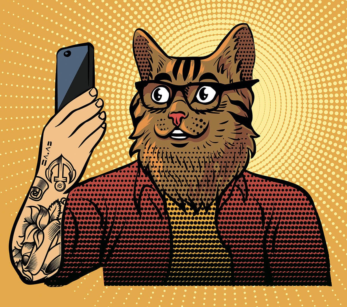 Fantastic cat looks with surprise at the mobile phone