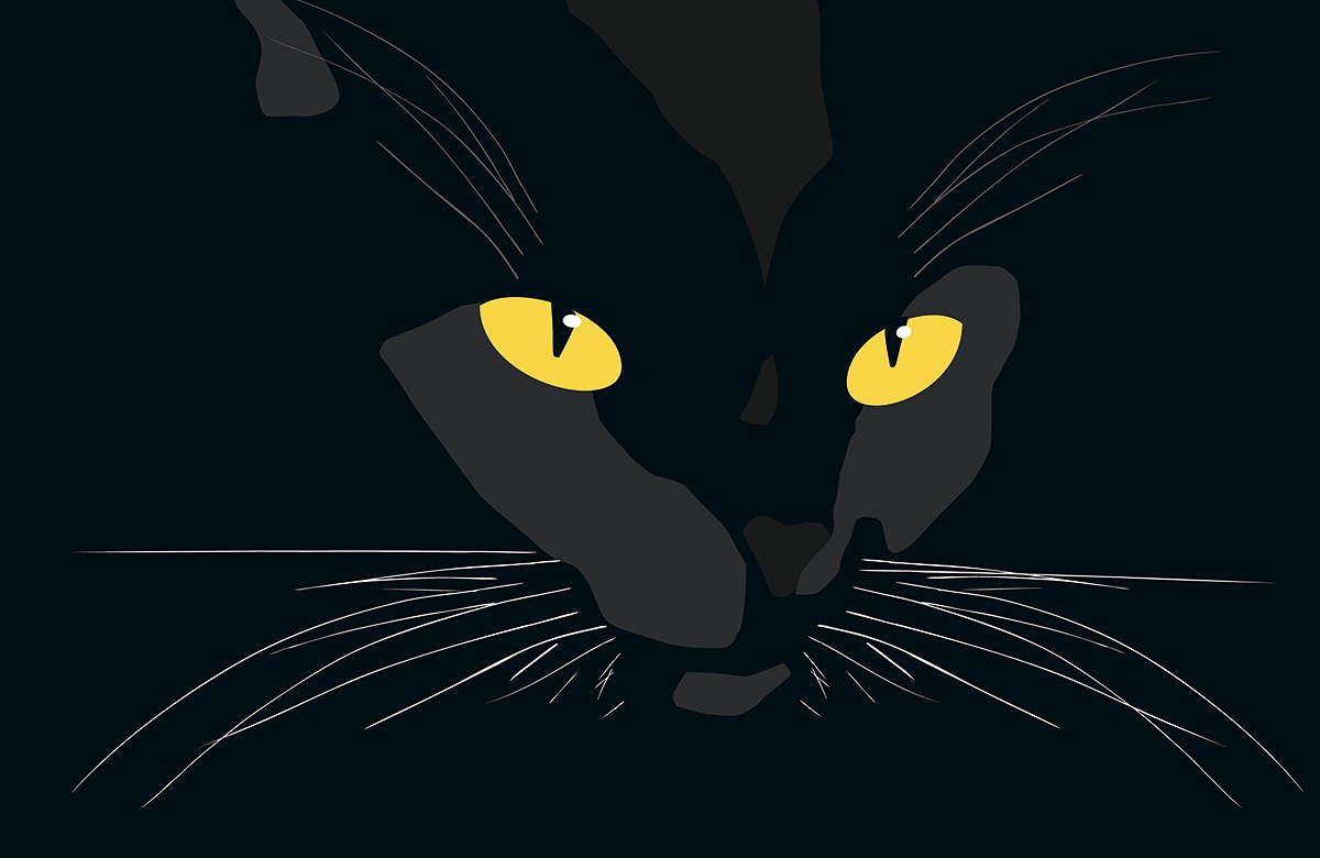 Picture of a black cat with big eyes