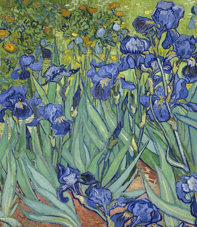 Paintings of the Great Painter Vincent van Gogh with Flowers