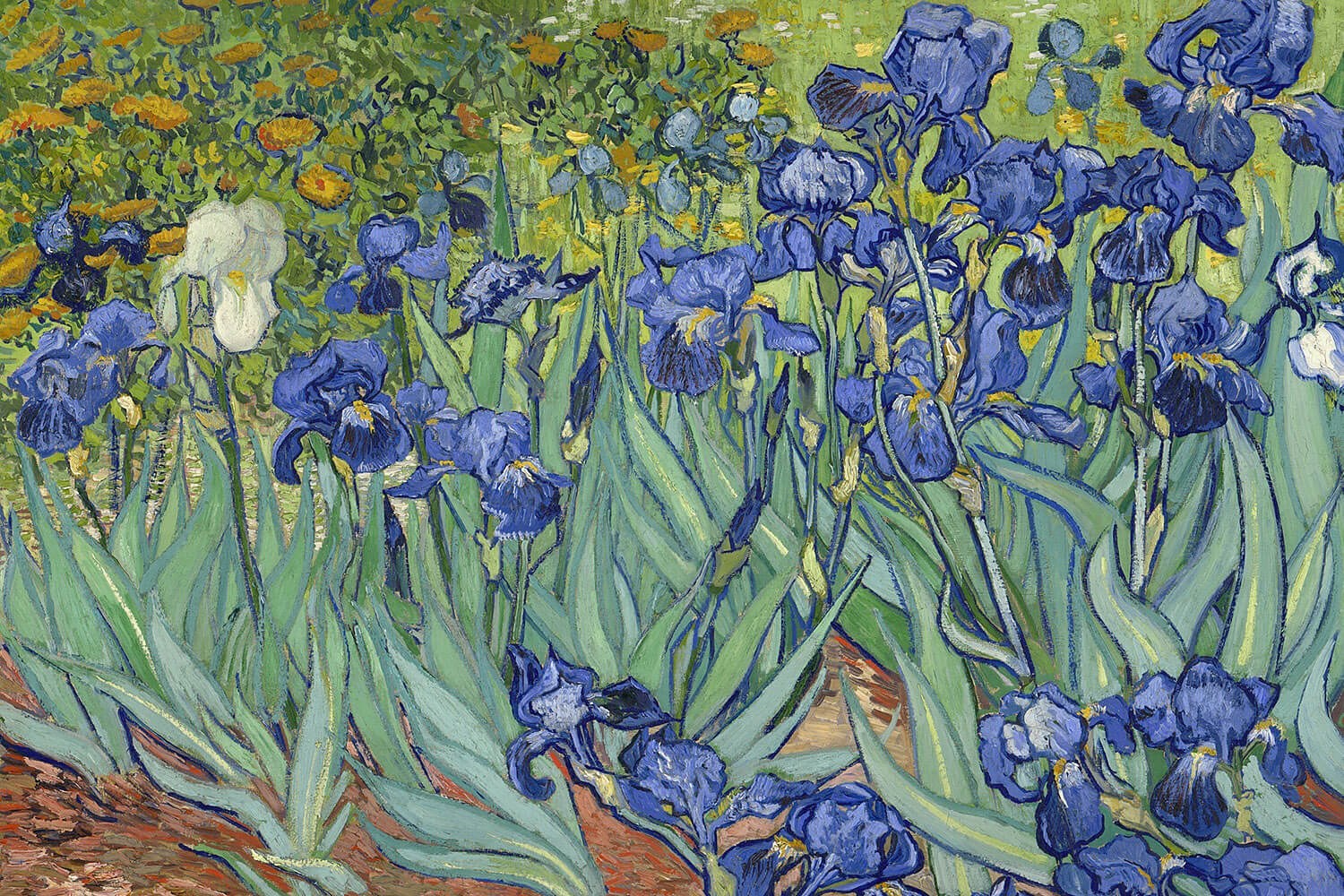 Irises, Vincent van Gogh, 1889, Original painting
