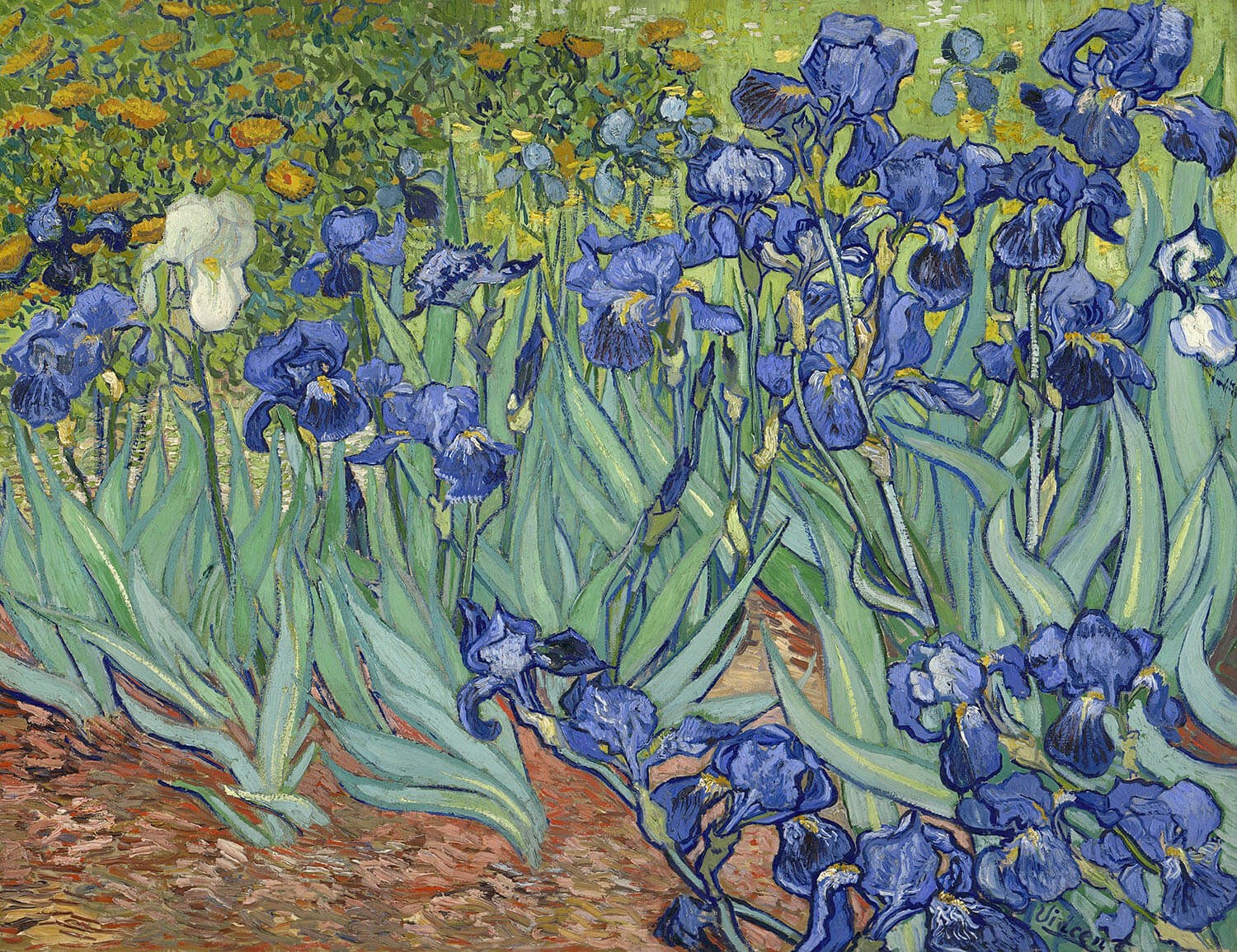Irises, Painter: Vincent van Gogh, 1889, Dutch Painting, Original painting